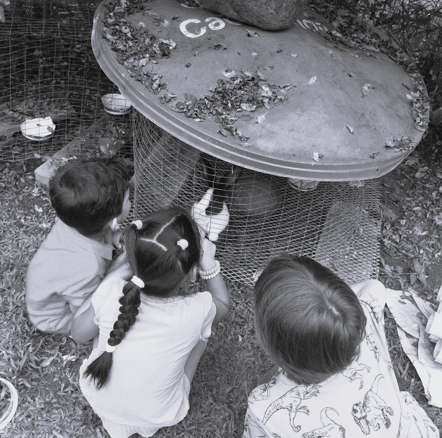 Niños jugando junto a una jaula de conejos