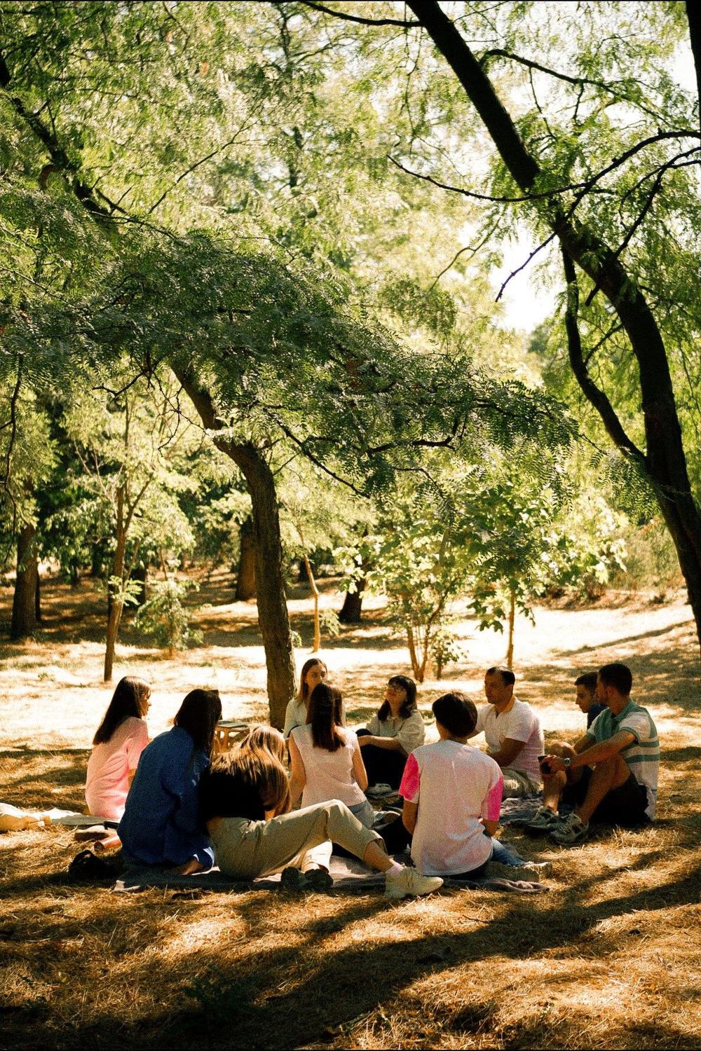 Personas conversando en círculo bajo los árboles